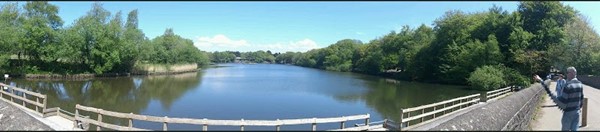 Gnoll Country Park