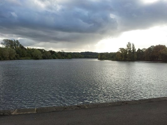 Coate Water Country Park