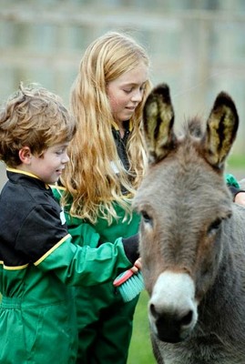 Bucklebury Farm Park