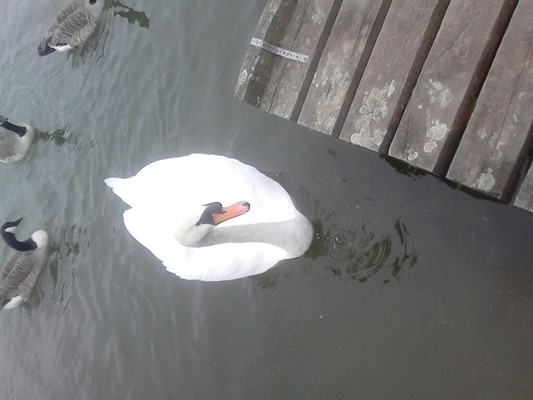 Blackleach Country Park
