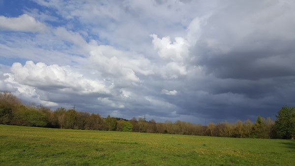 Woodbank Memorial Park