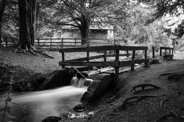 Elvaston Castle Country Park