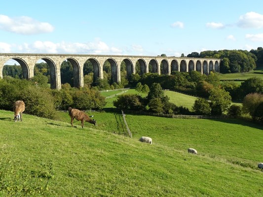 Ty Mawr Country Park