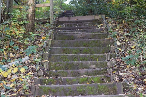 Deep Hayes Country Park