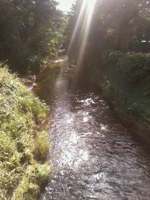 Cuerden Valley Park Farmers' Market