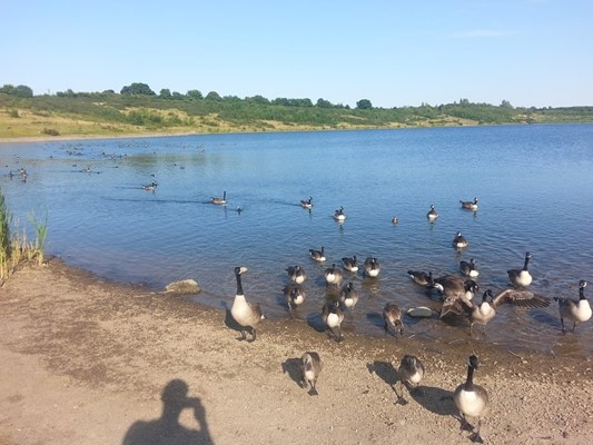 Swainswood Leisure Park