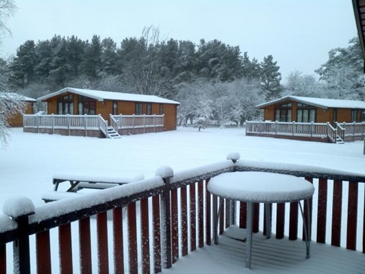 Darwin Forest Country Park