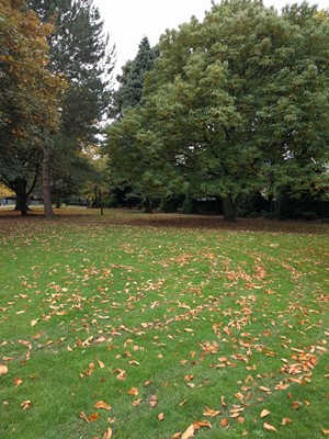 Wyndham Park