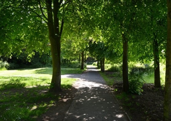 The Princess Anne Park