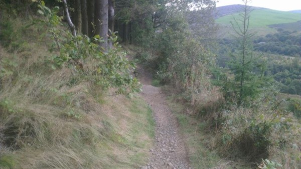 Afan Forest Park