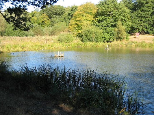 Thorndon Country Park