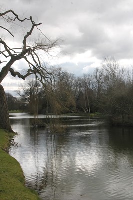 Chippenham Park Gardens