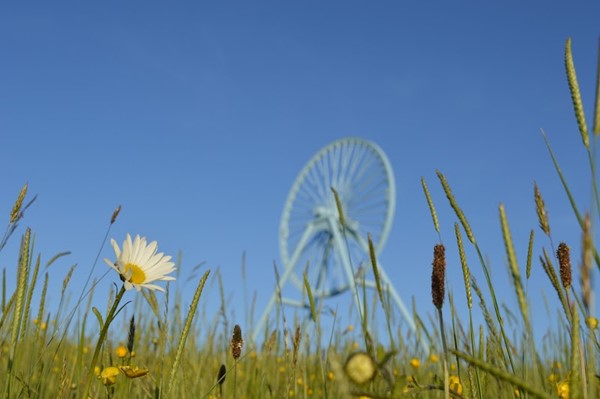 Apedale Community Country Park