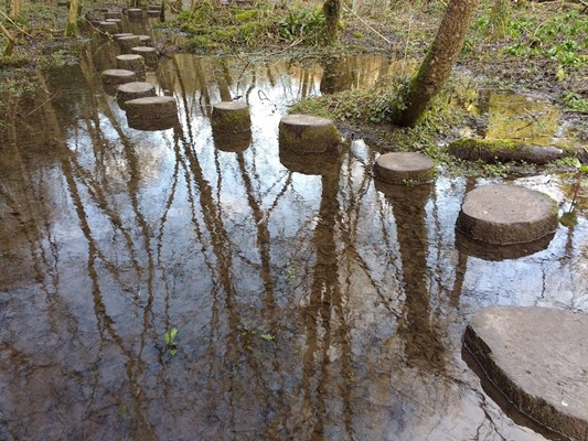 Ilam Park and White Peak Estate