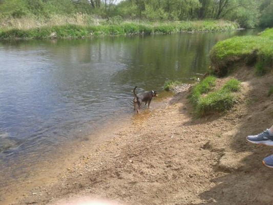 Reddish Vale Country Park