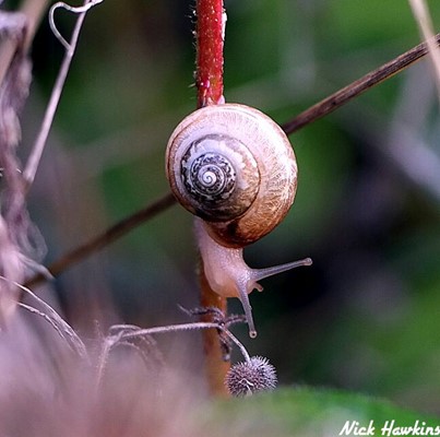 Haysden Country Park