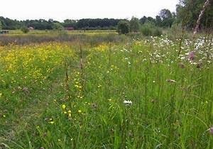Hinchingbrooke Country Park