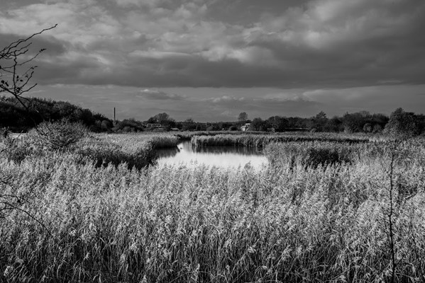 Port Sunlight River Park