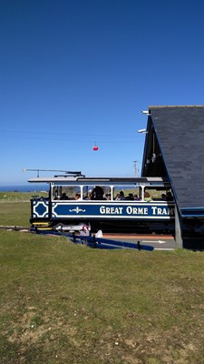 Great Orme Country Park