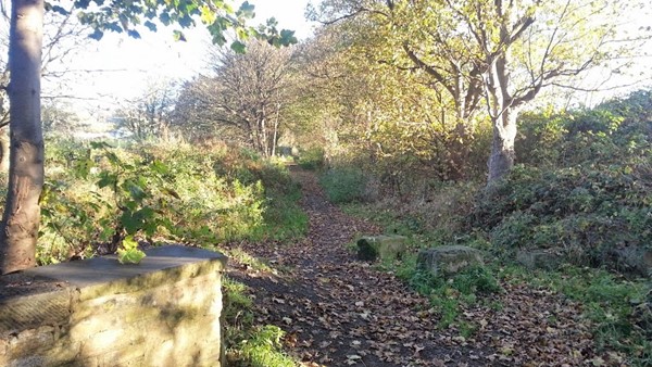 Dewsbury Country Park