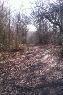 Shotover Country Park