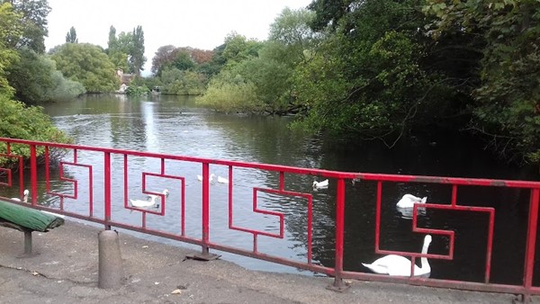 Radwell Lake campsite