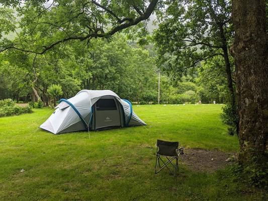 Red Squirrel Campsite Scotland