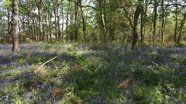 Itchenor Caravan Park