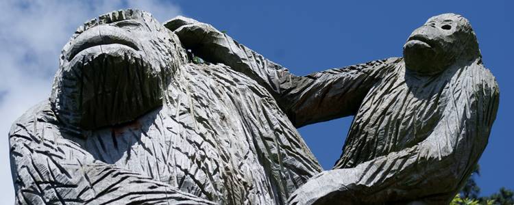 Bristol Zoological Gardens