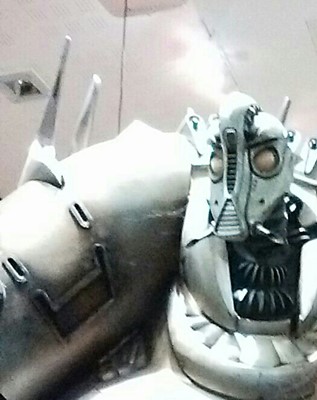 Torquay Museum Torquay Museum