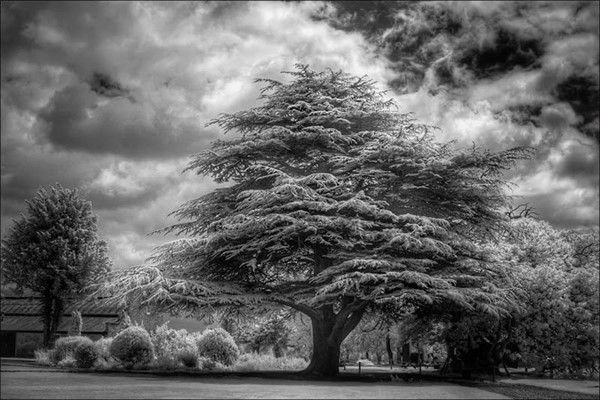 Burton Constable Hall Burton Constable Hall