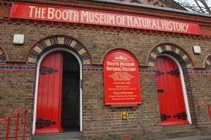 Booth Museum of Natural History Booth Museum of Natural History