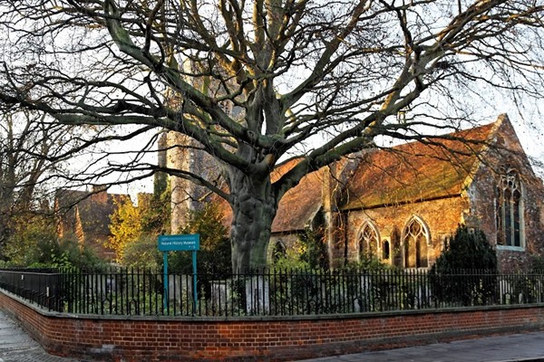Colchester Natural History Museum Colchester Natural History Museum
