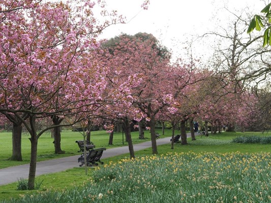 Ranger's House (Wernher Collection) Ranger's House (Wernher Collection)