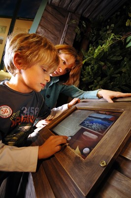 New Forest Centre Museum New Forest Centre Museum