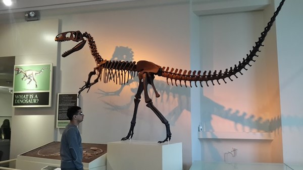 New Walk Museum & Art Gallery New Walk Museum & Art Gallery