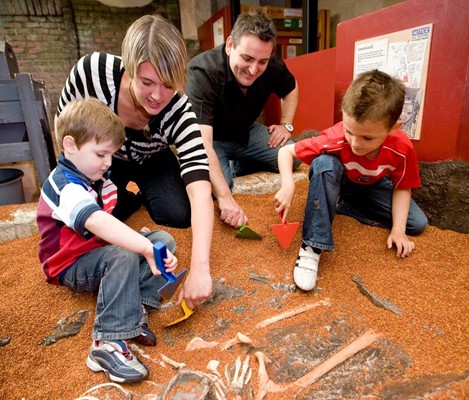 DIG - An Archaeological Adventure DIG - An Archaeological Adventure