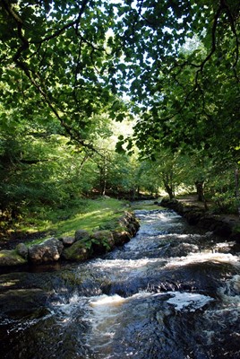 Tyn Cornel Camping Tyn Cornel Camping