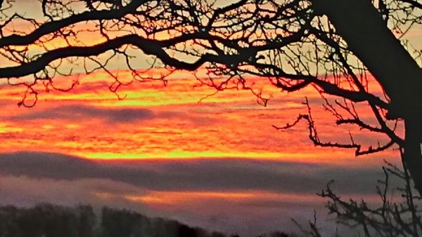 Parkland Caravan & Camping Site Parkland Caravan & Camping Site