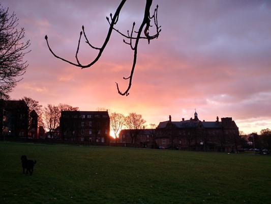 Dudhope Park Dudhope Park