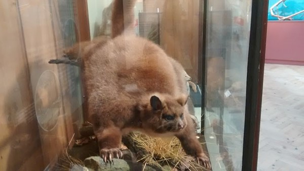 Haslemere Educational Museum Haslemere Educational Museum